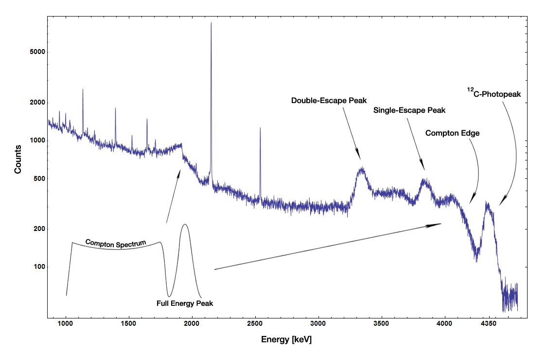 Przykładowe widmo źródła Am-Be z wyraźnymi strukturami energetycznymi. Obraz ma uczyć czytania piku fotoelektrycznego i kontinuum Comptona. Źródło: Wikipedia/Wikimedia, File:Am-Be-SourceSpectrum.jpg, licencja: CC BY-SA 3.0.