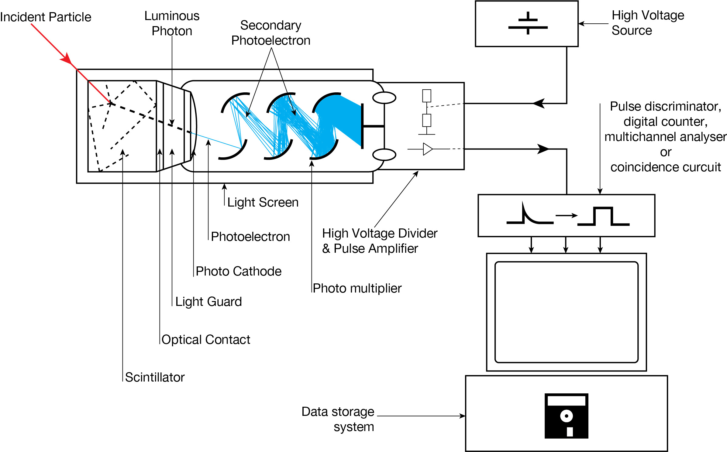 Schemat licznika scyntylacyjnego z fotopowielaczem. Pokazuje materialny układ kryształ/fotopowielacz. Źródło: Wikipedia/Wikimedia, File:Scintillation Counter Schematic.jpg, licencja: CC BY-SA 3.0.